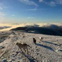 Majestic Morning Hike on Helvellyn