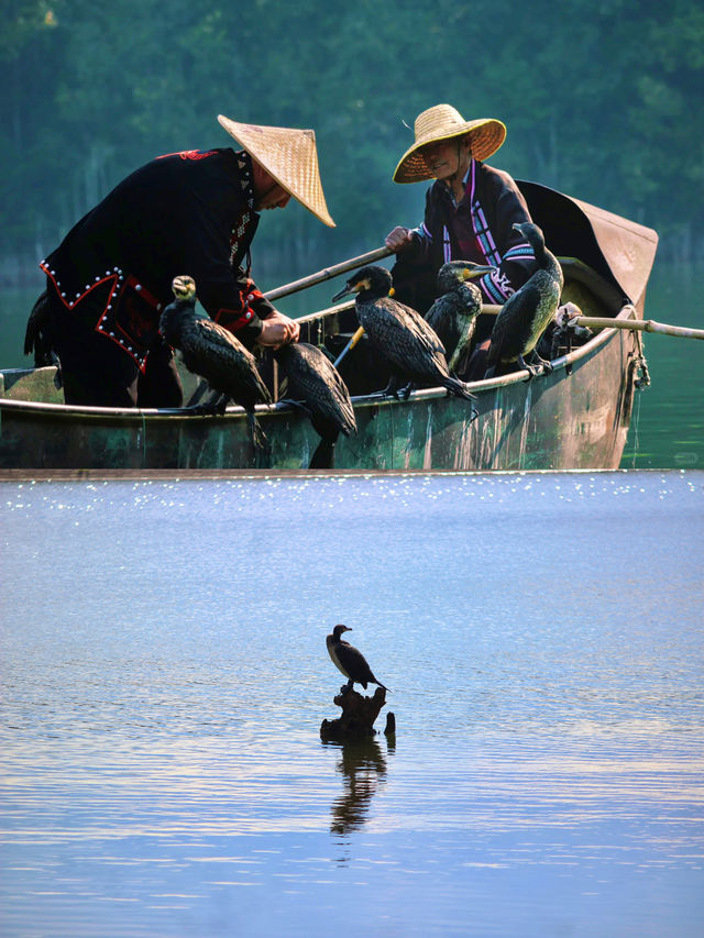 雲南旅遊玩轉茶馬古道超全攻略