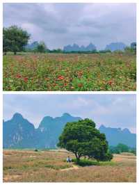 《花千骨》拍攝地—峒那嶼灣