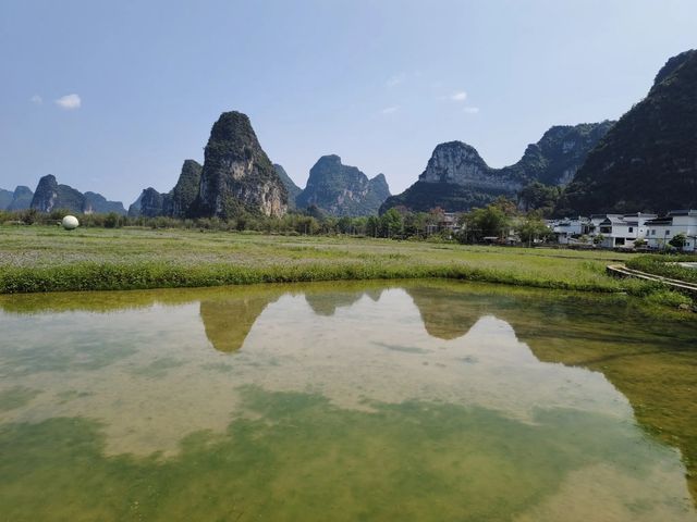 廣西旅遊｜打卡明仕田園，一眼就被驚艷到。