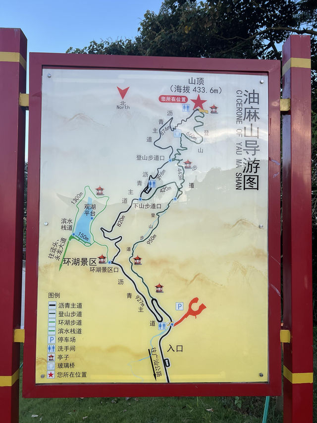 廣州｜ 黃埔油麻山森林公園。