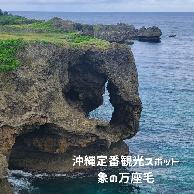 沖縄定番観光スポット！絶景、大自然を体感！万座毛