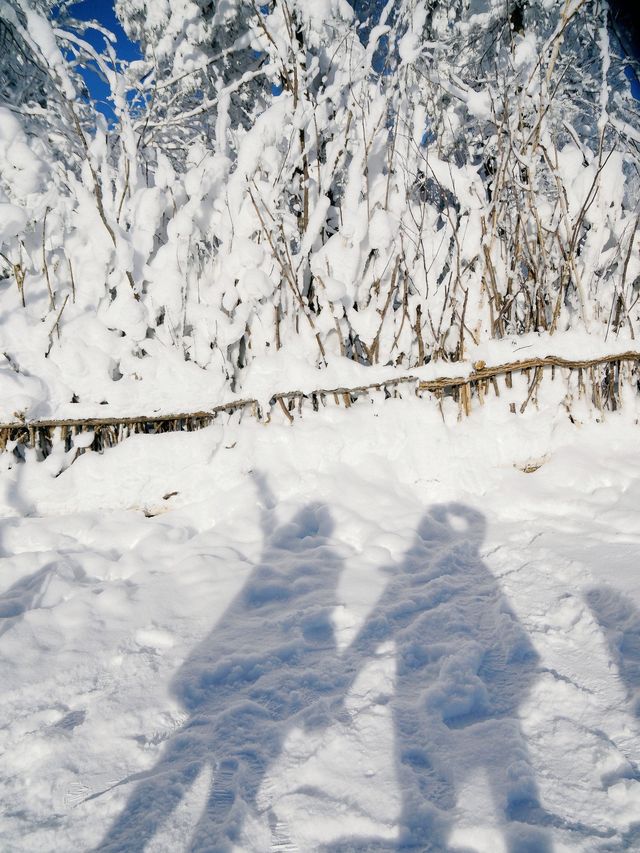 真不是北海道！在雪谷連住3天不想走。