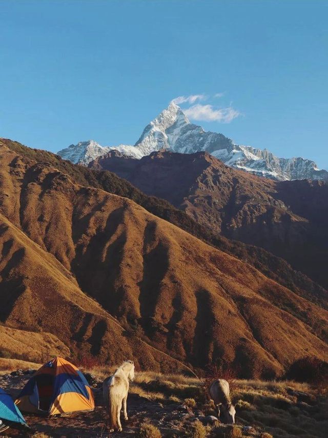 尼泊爾徒步丨小眾的魚尾峰觀景台徒步。