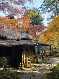 日本·奈良吉城園