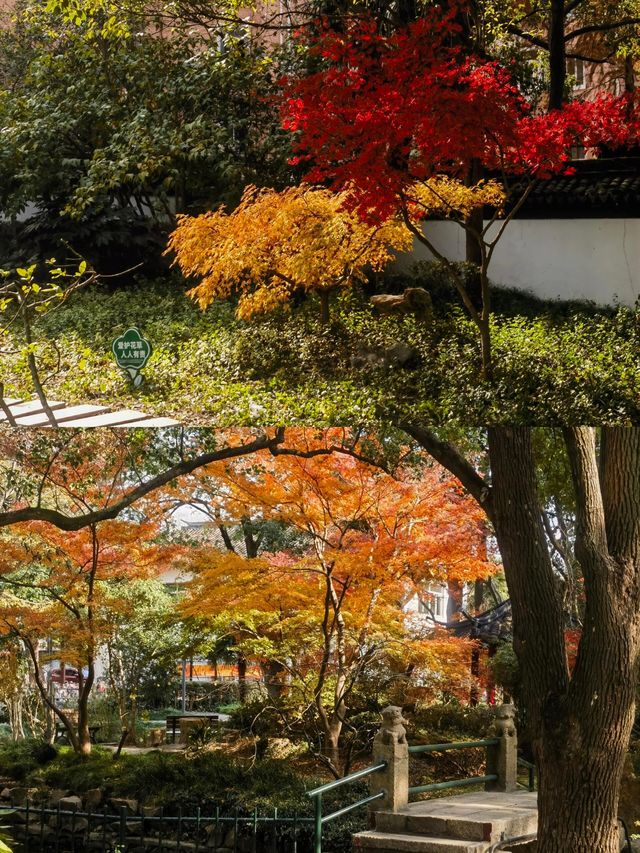 福泉古寺及周邊遊玩攻略