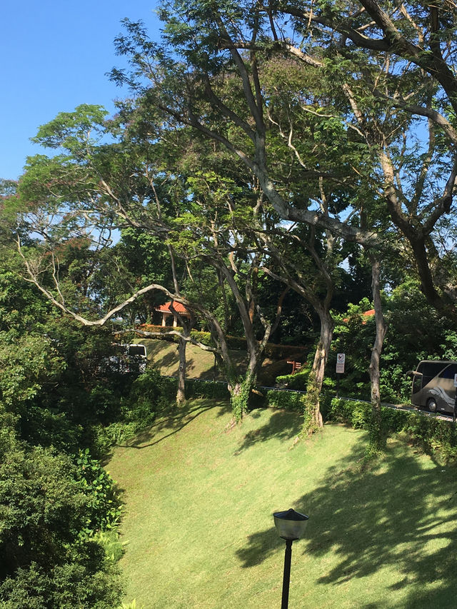 冬季反向目的地，去新加坡過有熱帶雨林的冬