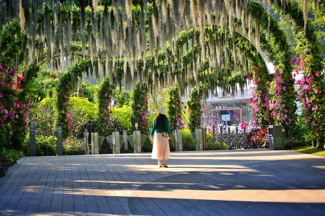 莫奈花園之雲蘿植物園