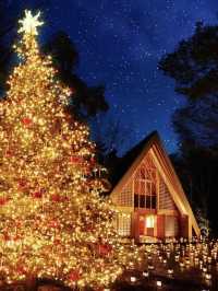 Celebrate Christmas in a Forest of Lights at Karuizawa Kogen Church