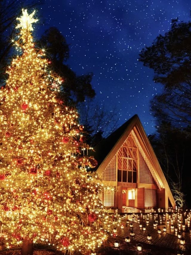 Celebrate Christmas in a Forest of Lights at Karuizawa Kogen Church