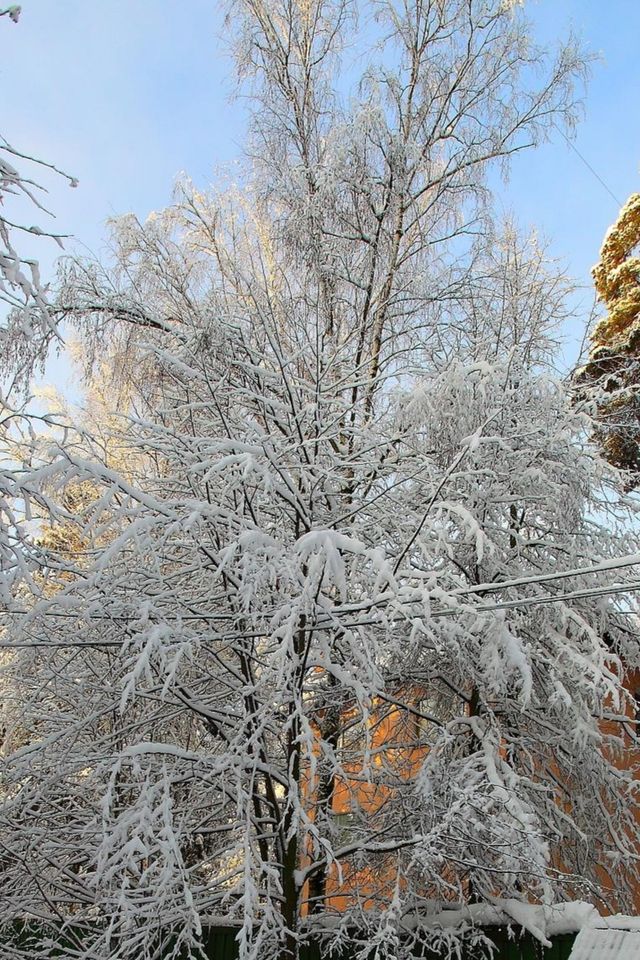 一個值得一遊的地方—齊雲山