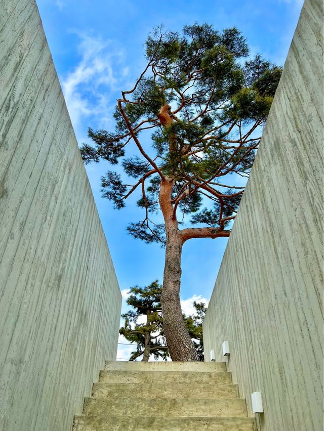 강원도 양양 자쿠지 신상숙소🖤