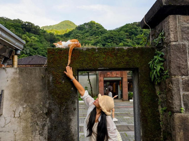 Houtong Cat Village หมู่บ้านแมวน่ารักๆในไต้หวัน