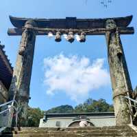 佐賀景點｜據說有神明居住的3000年大楠樹—佐賀武雄神社