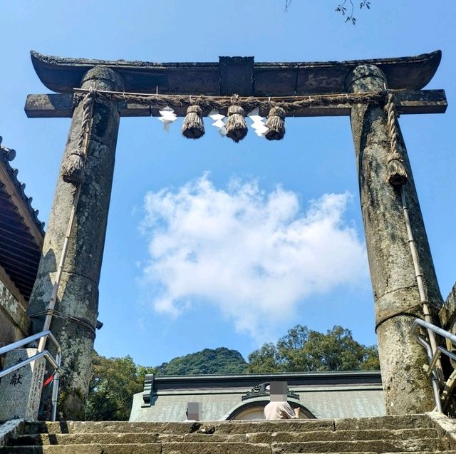 佐賀景點｜據說有神明居住的3000年大楠樹—佐賀武雄神社