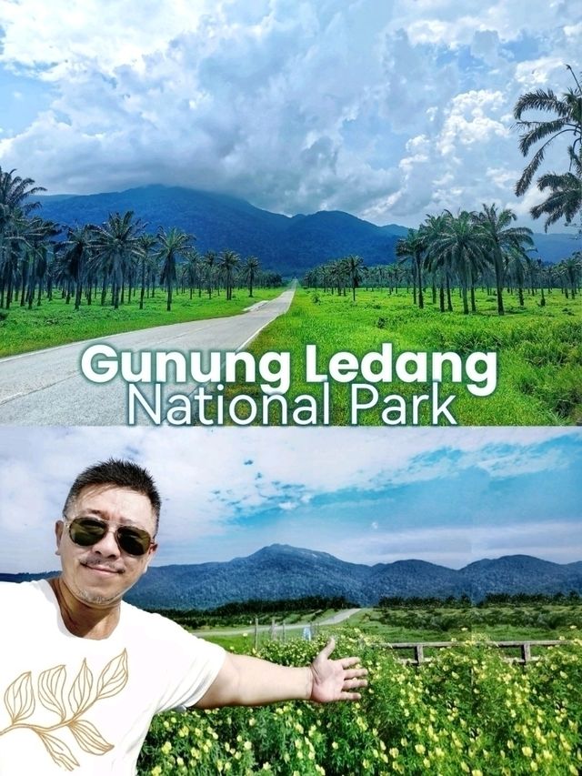 A lovely walk in Gunung Ledang National Park, a famous & beautiful park in Tangkak.