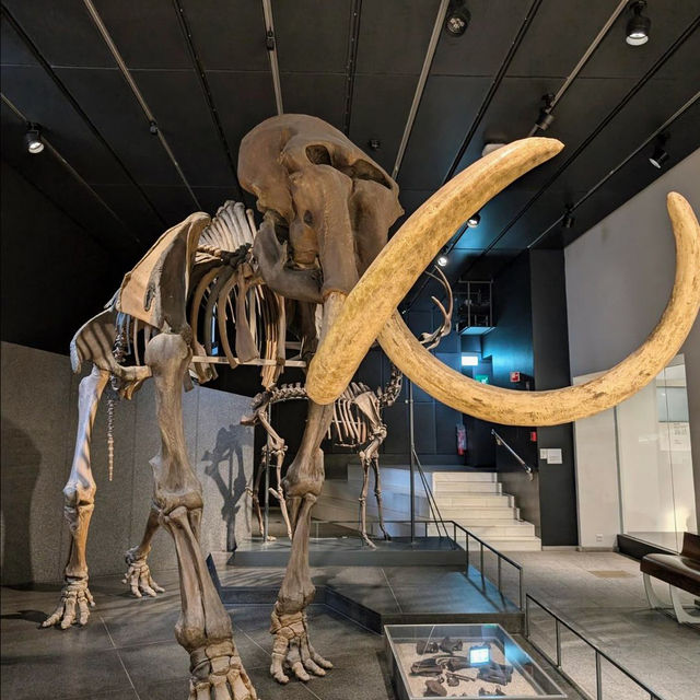 Natural History Museum of the University of Zurich