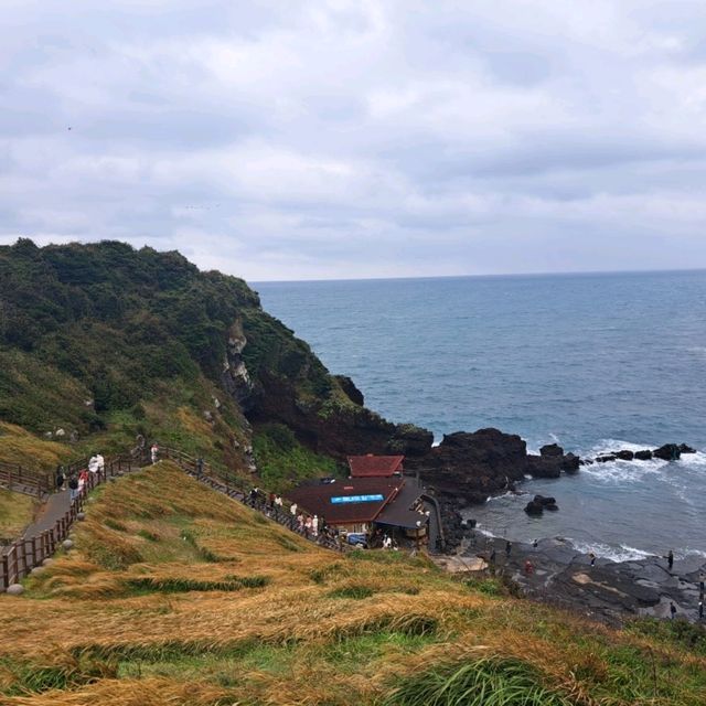 濟洲島柱狀節理帶🏞️天帝淵瀑布📸鳥島新緣橋🌁龍淵峽谷👣熱門打卡景點介紹👍