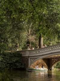 Central Park: The Green Heart of New York City