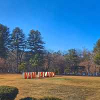 Chilly Adventure on Nami Island