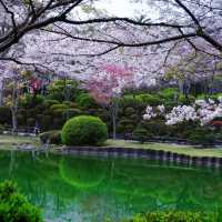 《探索福岡的綠洲——舞鶴公園之旅》