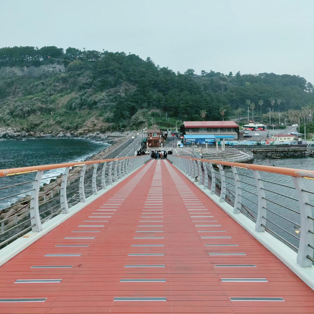 A Delightful Walk Across Saeyeon Bridge