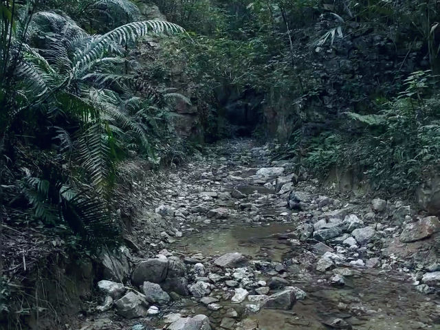  廣州從化龍潭水庫天坑：一場與自然親密接觸的探險