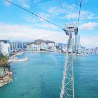 Soaring Above Busan: The Ultimate Aerial Adventure 🇰🇷