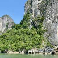 Tranquil Moments on Ha Long Bay 🌿