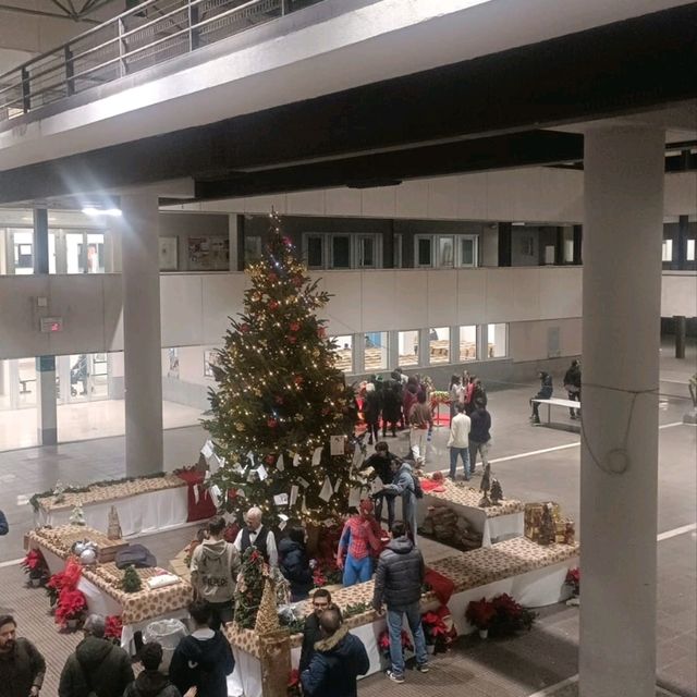 Christmas Trees Illuminate Bari