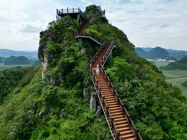 羅平金雞峰叢