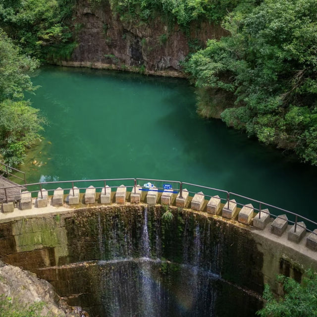 群山深處的綠色秘境——大奇山的自然探險之旅