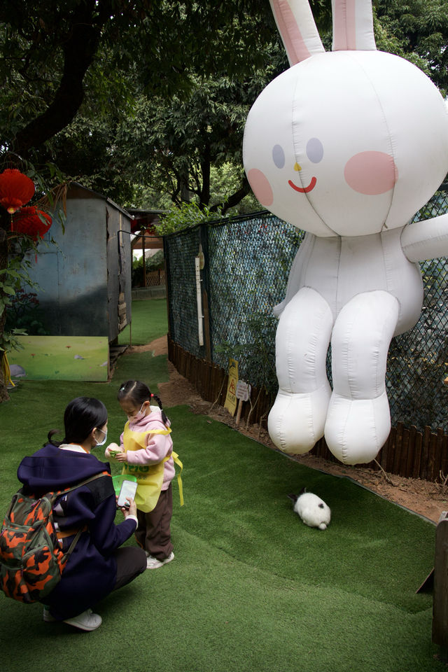 深圳動物園年味解放雙手遛娃攻略大公開