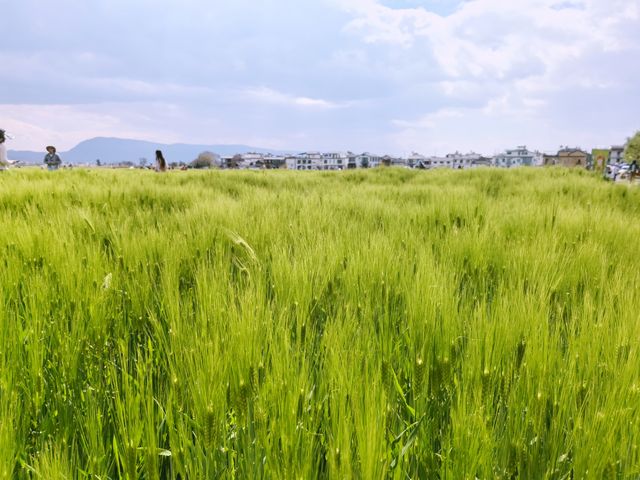 雲南大理喜洲古鎮，轉家樓，免費景點