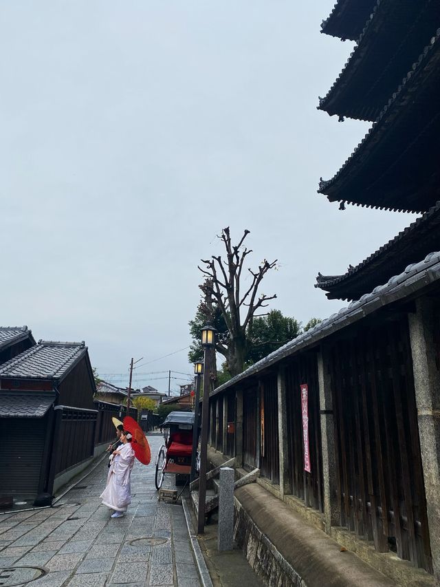 Priceless Stroll in the street of Japan