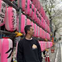 🌸 A complete day tour to Tokyo's iconic spot 🌸 