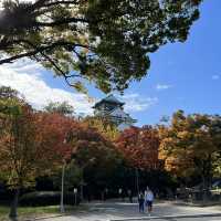 Osaka Castle 🇯🇵 Japan