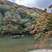 เที่ยว arashiyama ช่วงใบไม้เปลี่ยนสี 🍁🍂