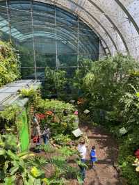 Butterfly Bliss: A Colorful Escape at Singapore’s Airport