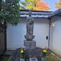 京都賞楓〔雪舟寺〕與〔天得院〕的靜謐之美