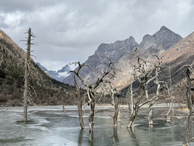 What a moment in Siguniangshan