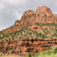 Top tips for wildlife sighting in Zion National Park 🇺🇸