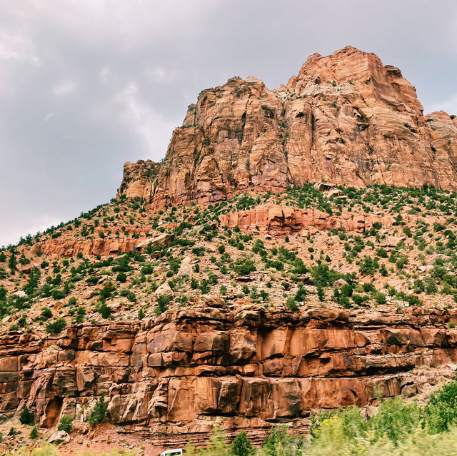 Top tips for wildlife sighting in Zion National Park 🇺🇸