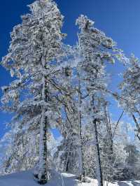 沒約上哈爾濱冰雪大世界，這些地方也不錯！