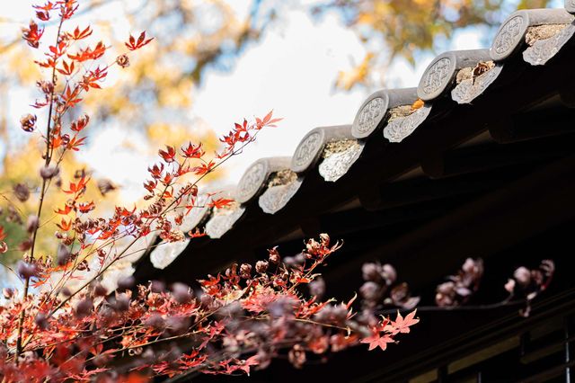 秋天到南京市雞鳴寺景區旅遊攻略。