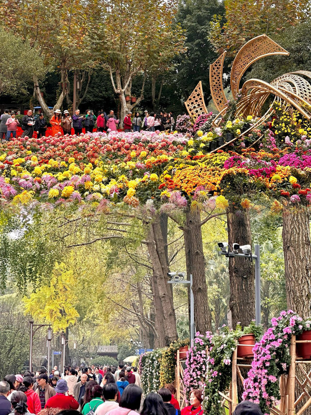 菊花盛開，成都人民公園秋日拍照打卡啦