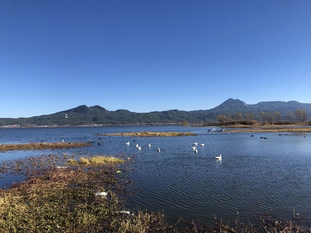 雲南麗江