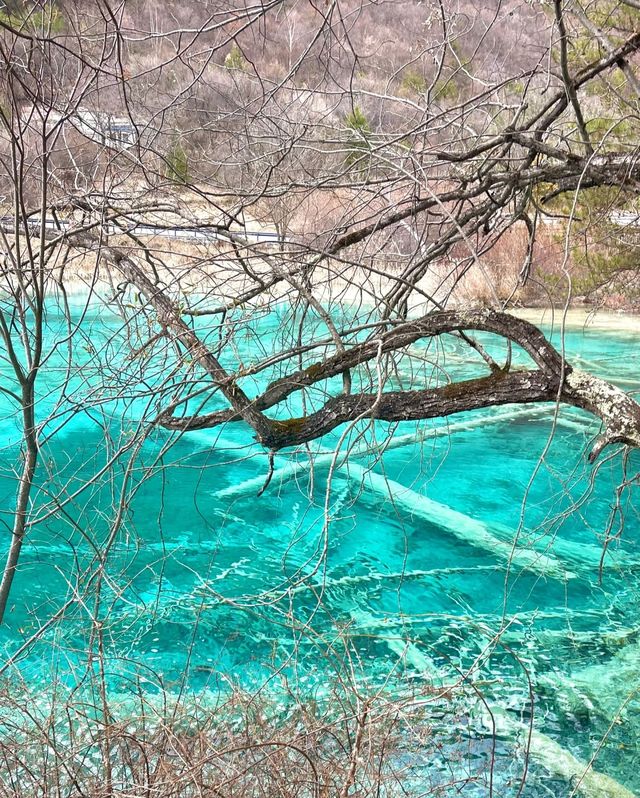 九寨溝，夢幻山水畫卷