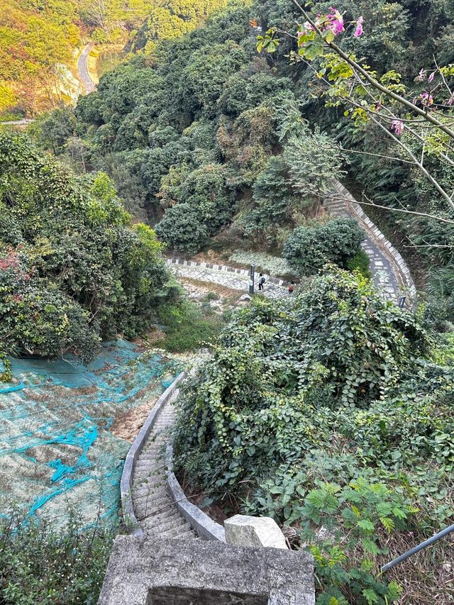 藏在市區裡綠野仙蹤公園地鐵直達