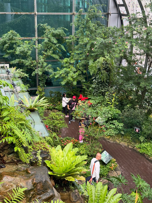 🇸🇬Do you know there’s a butterfly garden in Changi Airport?